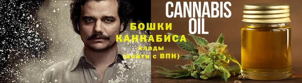сатива Абинск