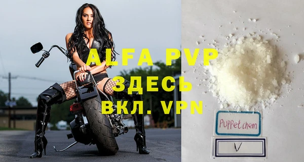 сатива Абинск