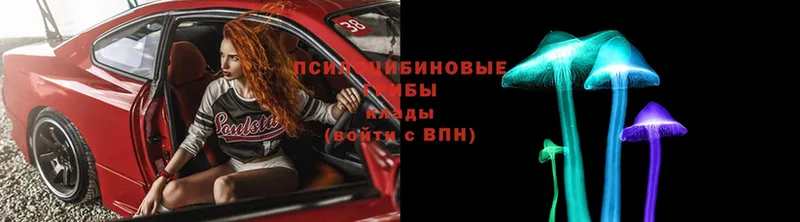 хочу наркоту  кракен зеркало  Псилоцибиновые грибы ЛСД  Белово 